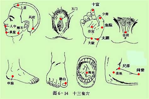 十三鬼穴 位置|鬼门十三针